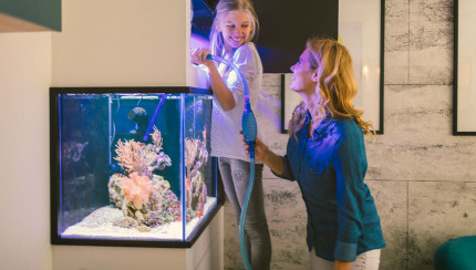 TITLE_NL_NL does not exist