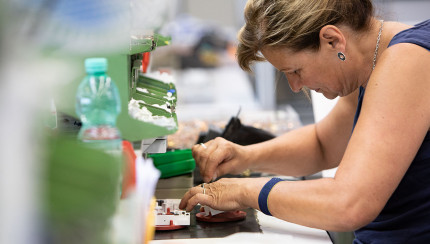 TITLE_NL_NL does not exist